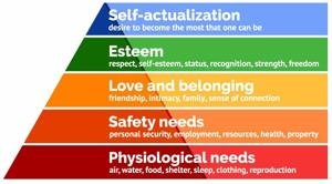 Emotion: The Overlooked Variable in Nutrition and Fitness